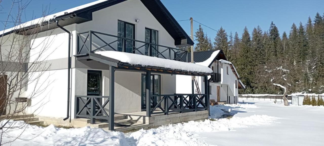 Maison d'hôtes U Anastasii I Sofii Bilya Richki à Mykulychyn Extérieur photo
