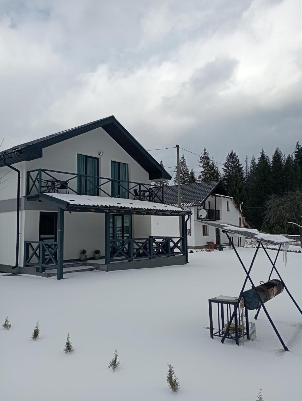 Maison d'hôtes U Anastasii I Sofii Bilya Richki à Mykulychyn Chambre photo