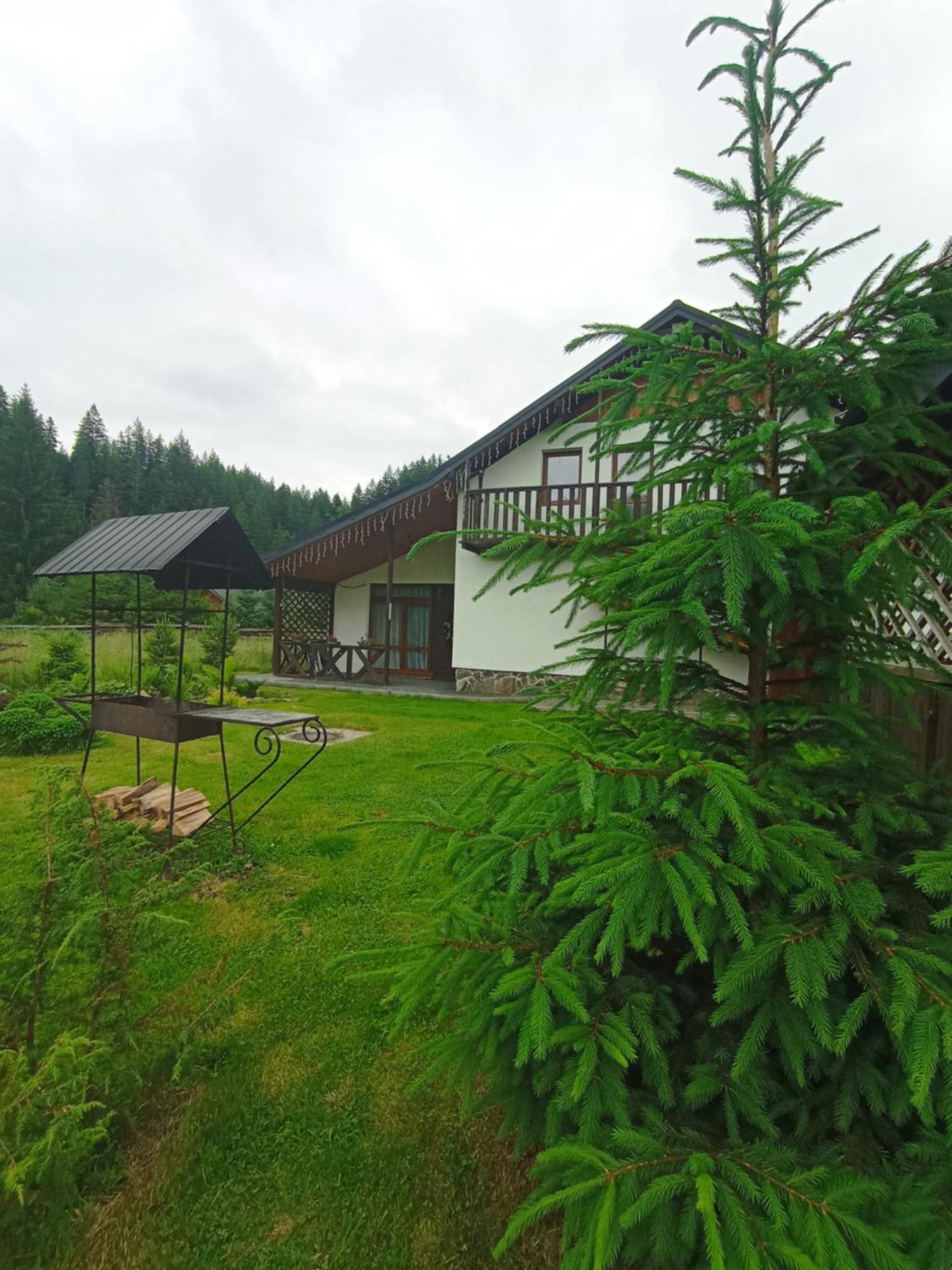 Maison d'hôtes U Anastasii I Sofii Bilya Richki à Mykulychyn Extérieur photo