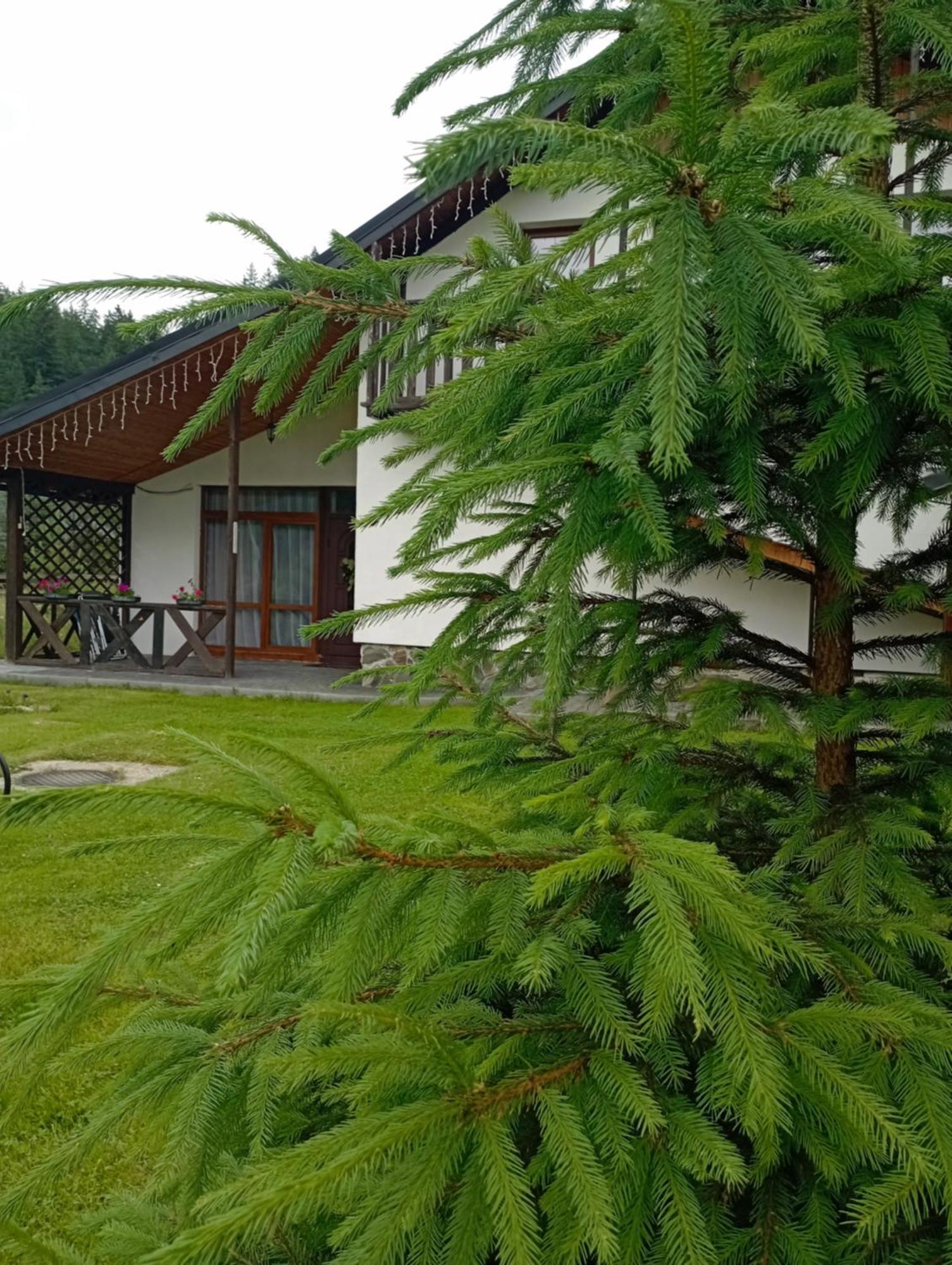 Maison d'hôtes U Anastasii I Sofii Bilya Richki à Mykulychyn Extérieur photo