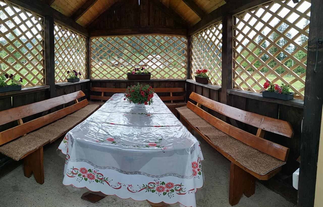 Maison d'hôtes U Anastasii I Sofii Bilya Richki à Mykulychyn Extérieur photo